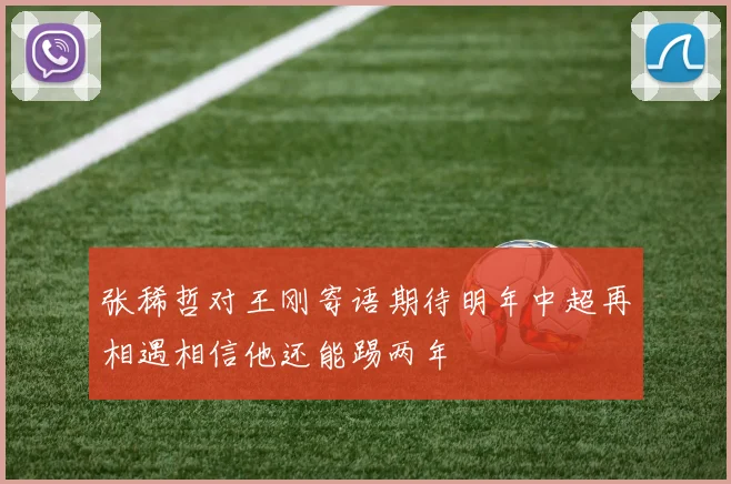 张稀哲对王刚寄语期待明年中超再相遇相信他还能踢两年