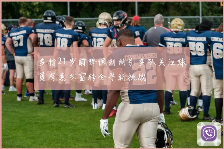多特21岁前锋保利纳引多队关注球员有意冬窗转会寻新挑战