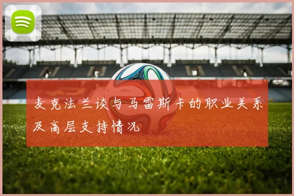 麦克法兰谈与马雷斯卡的职业关系及高层支持情况